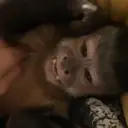 ملصق