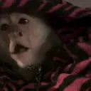 ملصق