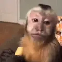 ملصق