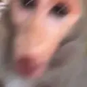 ملصق