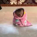 ملصق