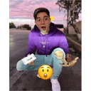 ملصق