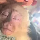 ملصق
