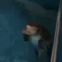 ملصق