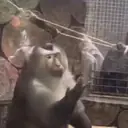 ملصق