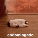 ملصق