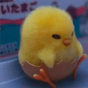 ملصق