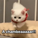 ملصق
