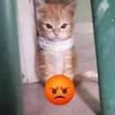 Çıkartma