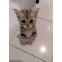 Çıkartma