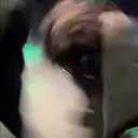 Çıkartma