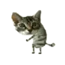 Стикер