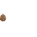 Çıkartma
