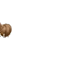Çıkartma