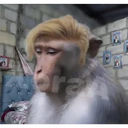 ملصق