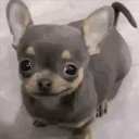 ملصق