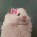 ملصق