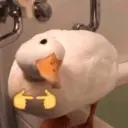Стикер