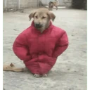 Çıkartma