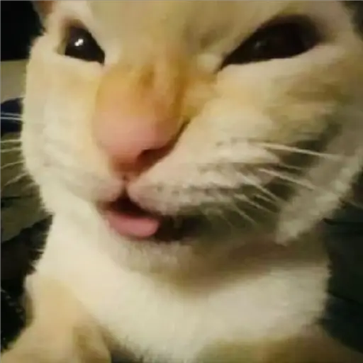ملصق