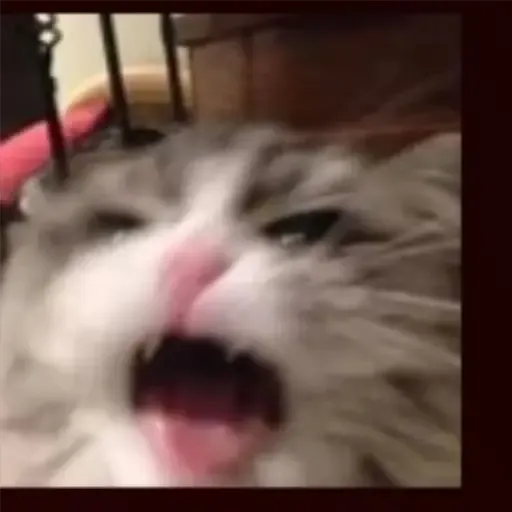 ملصق