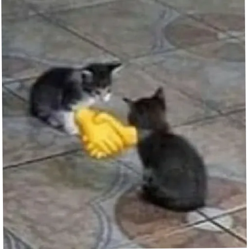 ملصق