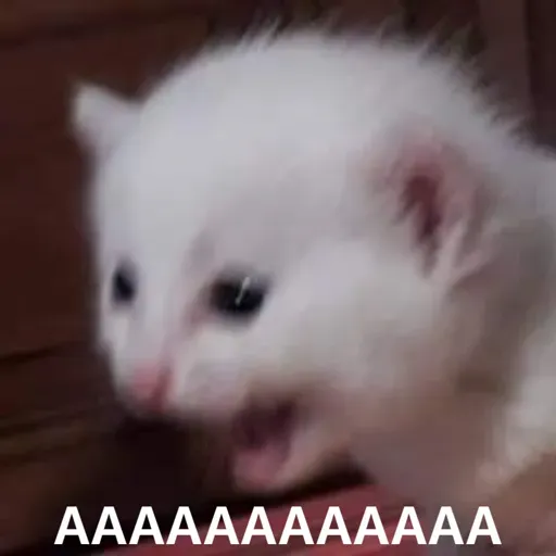 ملصق