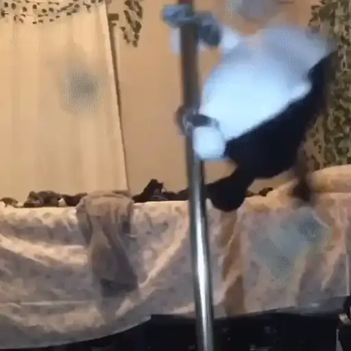 ملصق