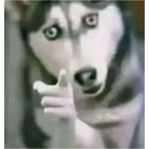 ملصق