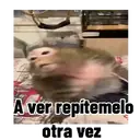 ملصق