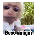 ملصق