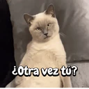 Çıkartma