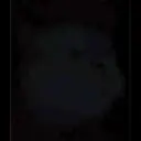 ملصق