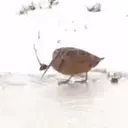Çıkartma