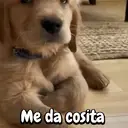 Çıkartma