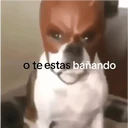 ملصق