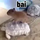 ملصق