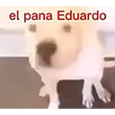 ملصق