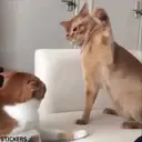 ملصق
