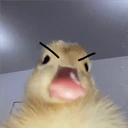 ملصق