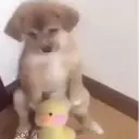 ملصق