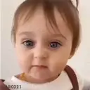 ملصق
