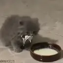 ملصق