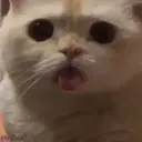 ملصق