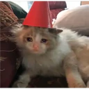 ملصق