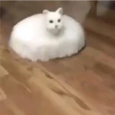 ملصق