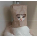 ملصق