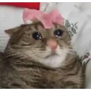 ملصق
