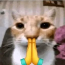 ملصق