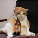 ملصق